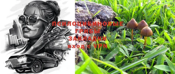 прущие крисы Сафоново