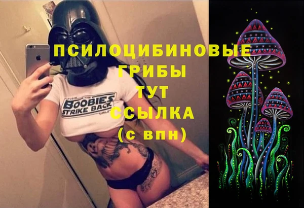 ECSTASY Сатка