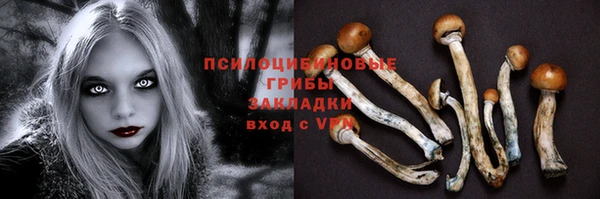 ECSTASY Сатка
