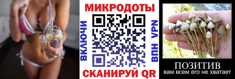 Галлюциногенные грибы Psilocybe  купить закладку  дарк нет телеграм  Нея 